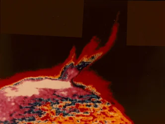 Falsk färgbild av en solflamma från Skylab, 1973