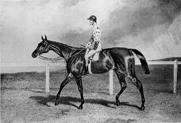 Fandango, 1800-talet, 1911