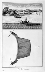 Fiske, 1751-1777