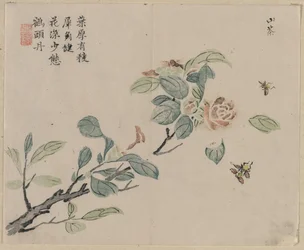 Blommande gren med bin, 1700-talet.
