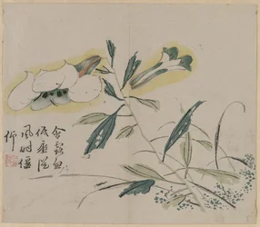 Blommande lilja, 1700-tal.