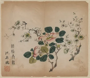 Blommande Prunus, 1368-1644.