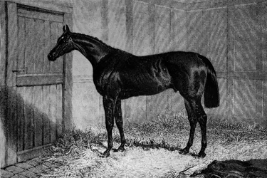 Foig-A-Ballagh, c1841-1860, 1911