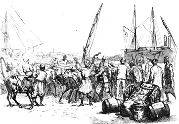 Mat för trupperna: Landsättning av boskap i Port Said, c1882