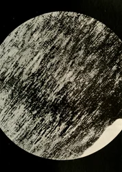 Fossilskog i sandsten, från en morän på latitud 85° syd, c1908, 1909.