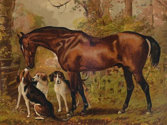 Frimurare - den sene Hugo Meynell Ingram Esq.s favoritjägare, c1879.