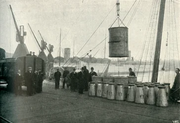 Fransk mjölk landades i Southampton, 1902.
