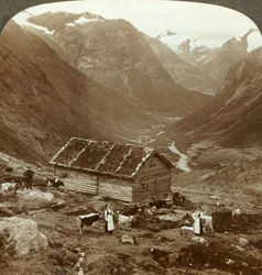 Från fjällvärdshuset vid Vidde saeter nerför Viddedalen - Skaalaberget på rätt avstånd, c1905.