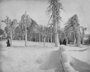 Frostarbete i Prospect Park, Niagara, c1897.