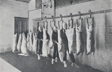 Fryst kött, 1923.