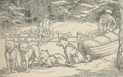 Pälsfångare, 1924