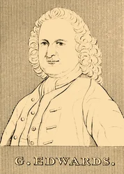 G. Edwards, 1694-1773, 1830.