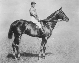 Galtee More, 1894-1917, 1911