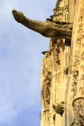 Person med groteskt ansikte. Stefansdomen, Bourges, Frankrike