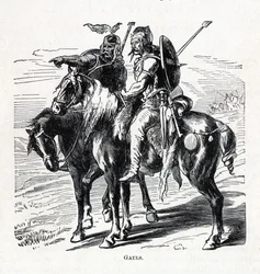 Galler, 1882