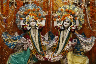 Gaura Neeta Murthys i Krishna-Balaram-templet, Veerindavam. Indien