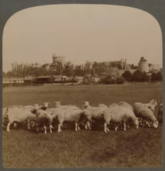 General View Windsor Castle, England, 1896.