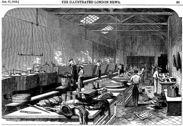 Översikt över köket på Richie & McCalls Cannery, Houndsditch, London, 1852