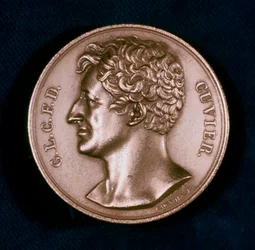 Georges Leopold Chretien Frederic Dagobert, Baron Cuvier, fransk anatom, 1800-talet