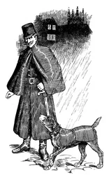 Gents polishund, 1907.