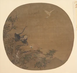 Gibbons raiding an Egret