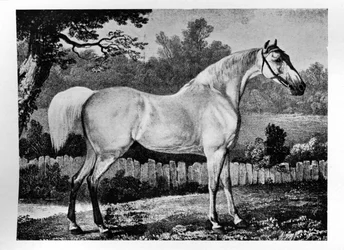 Gimcrack, 1760 -1777, 1911
