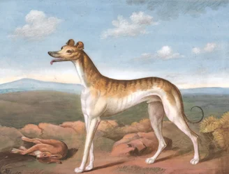 Vinthund: Vänstervänd, med en död hare vid fötterna, ca. 1805.