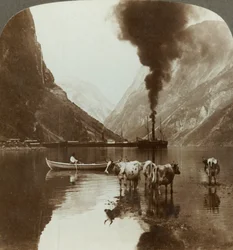 Gudvangens utsikt över Naerofjorden där havet når långt in bland bergen, Norge,
