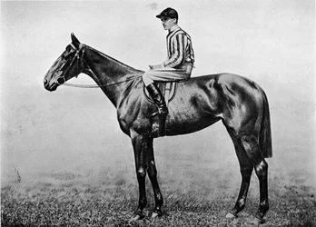 Hacklers Pride, c1860, 1911
