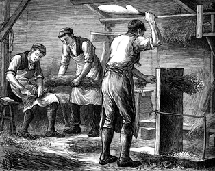 Handskärare på jobbet, c1880