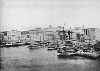 Harbour Ferry Boats vid Circular Quay, c1900.
