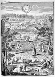 Att skörda höet, 1775