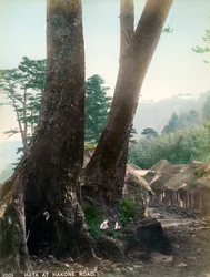 Hata vid Hakone Road, Japan, tidigt 1900-tal