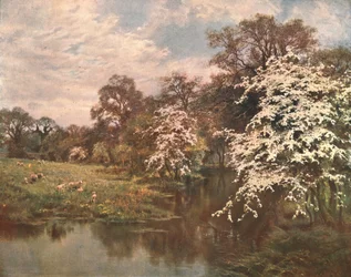 Hawthorn Blossoms, c1899, c1902.