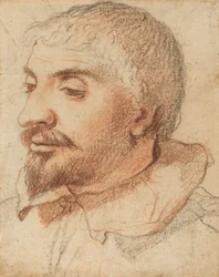 Head of a Man, ca. 1600.