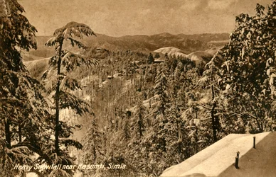 Kraftigt snöfall nära Kasumpti, Shimla, c1918-c1939.