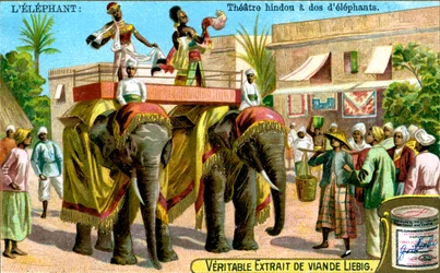 Hinduisk teater på elefanternas ryggar, c1900