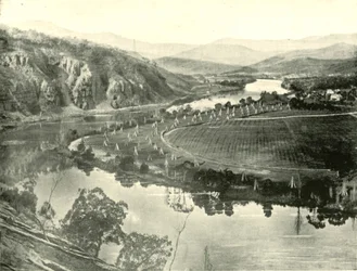Humleträdgårdar i Tasmanien, 1901.