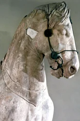 Häst, Quadriga av mausoleet vid Halikarnassos, 350 f.Kr