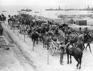 Hästdragen transport, allierade operationer i Dardanellerna, Turkiet, 1915-1916