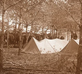 Hästar billet, Suippes, norra Frankrike, c1914-c1918