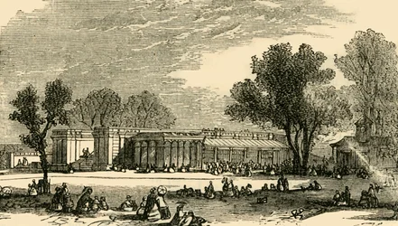 Carnivoraens hus, c1876.
