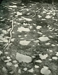 How The Weather Hindered the Advance, 1919.