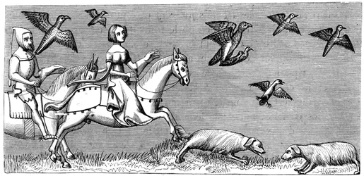 Hur man får unga hökar att flyga, 1300-talet 1849
