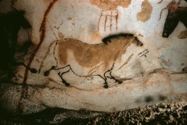 Grottmålning i Lascaux, Frankrike