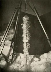 Iskristaller bildade på linjen av en fiskfälla, c1908, 1909