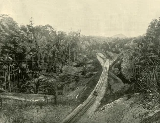 I Blackall Ranges, 1901.