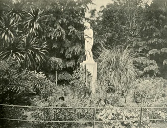 I Fitzroy Gardens, Melbourne, 1901.