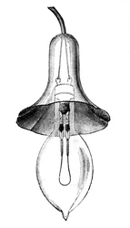 Glödlampa, glödlampa, av Lane-Fox, 1883.