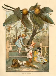 Indiska sommaren, 1883.